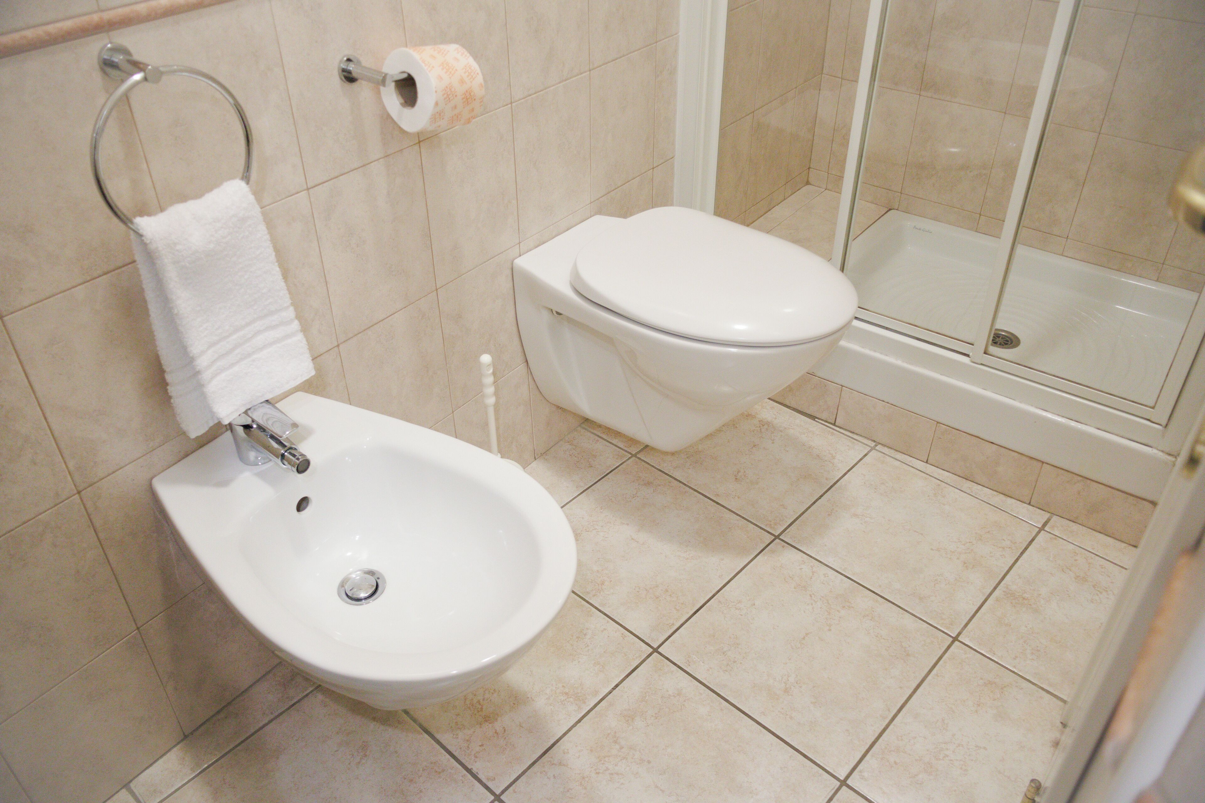 standard single room | bathroom | shower, free toiletries, hair dryer, bidet