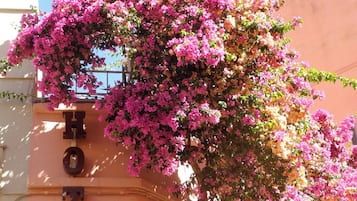 Façade de lâhĂ©bergement