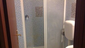 A bathroom with a shower, toilet, and tiled walls.
