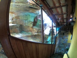 Interior - Pousada Marotta (Ouro Preto)