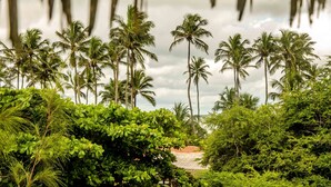 Un paisaje tropical con palmeras y abundante vegetación.