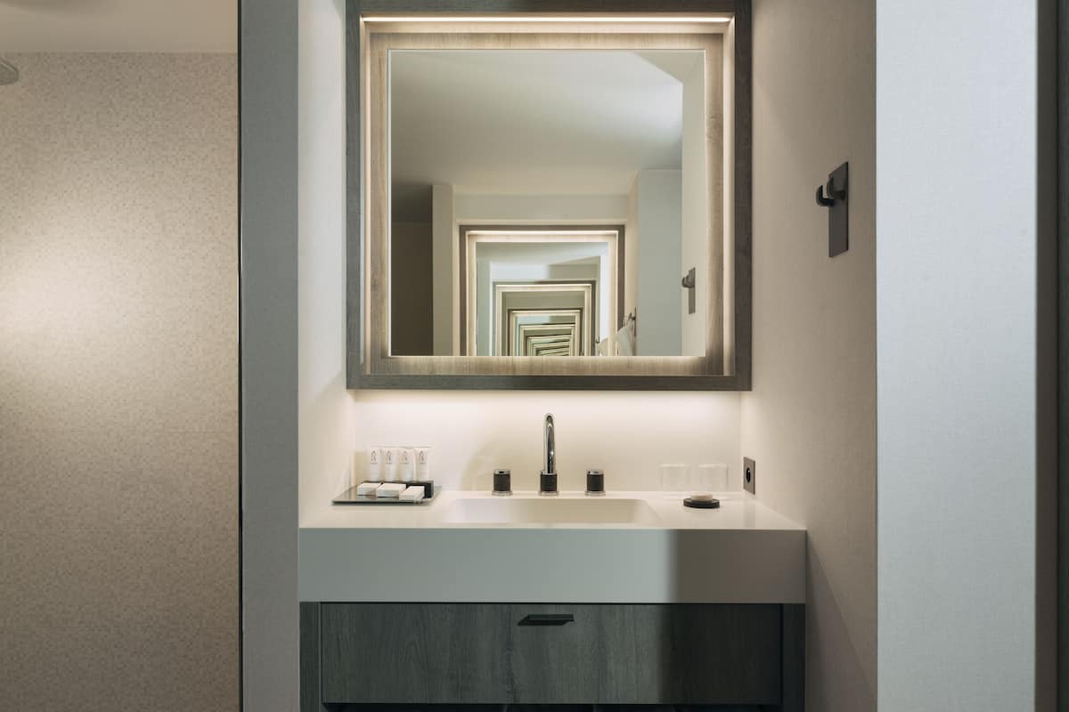 standard room, 1 king bed, courtyard view | bathroom | separate bathtub and shower, free toiletries, hair dryer, bathrobes