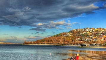 Lake view