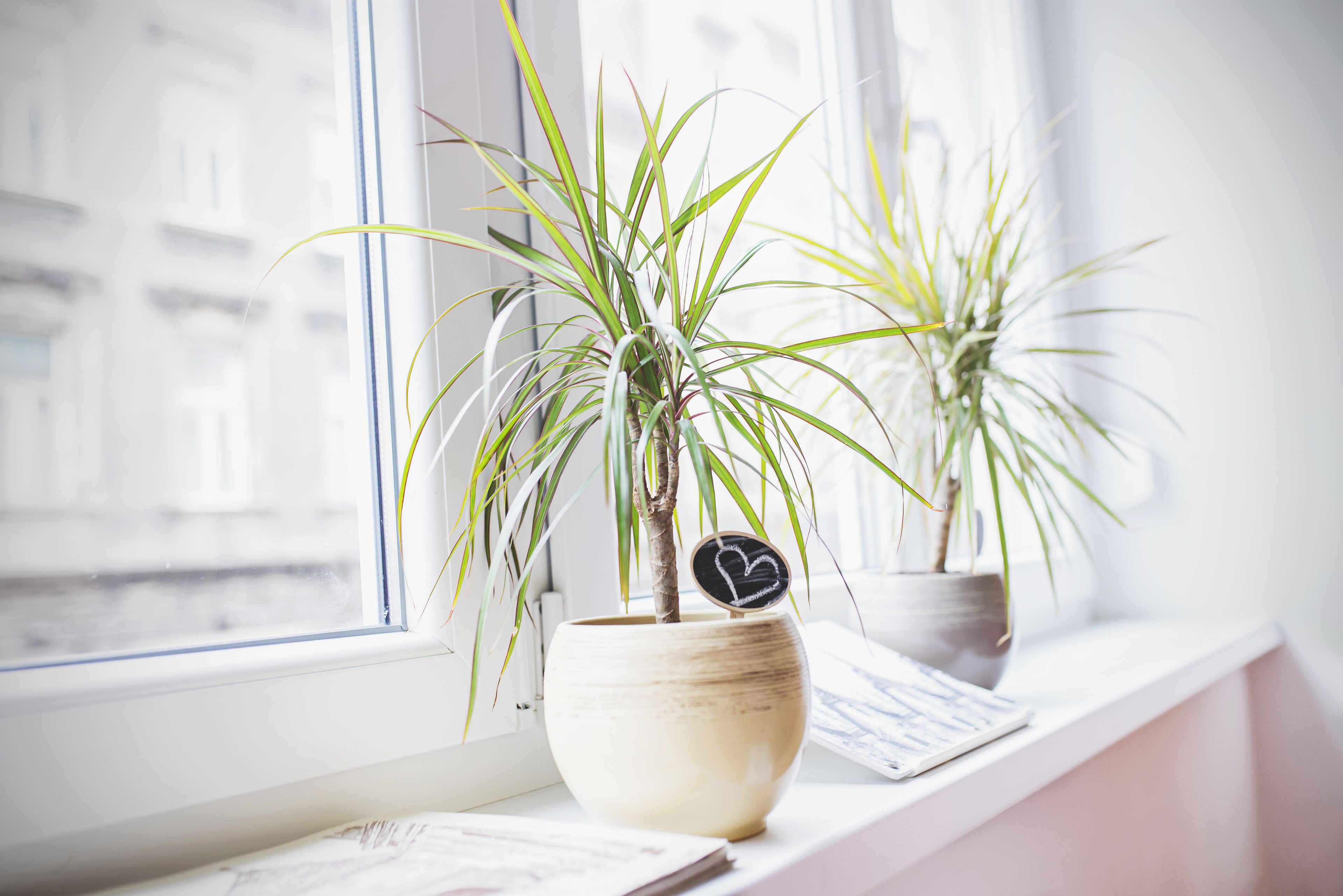 Foto - The Dots Hostel