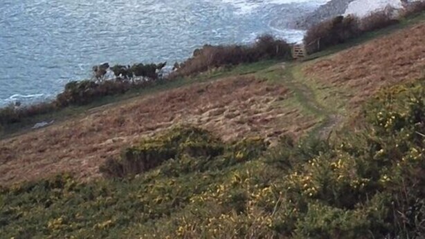 Beach - Bishopston House (Swansea)