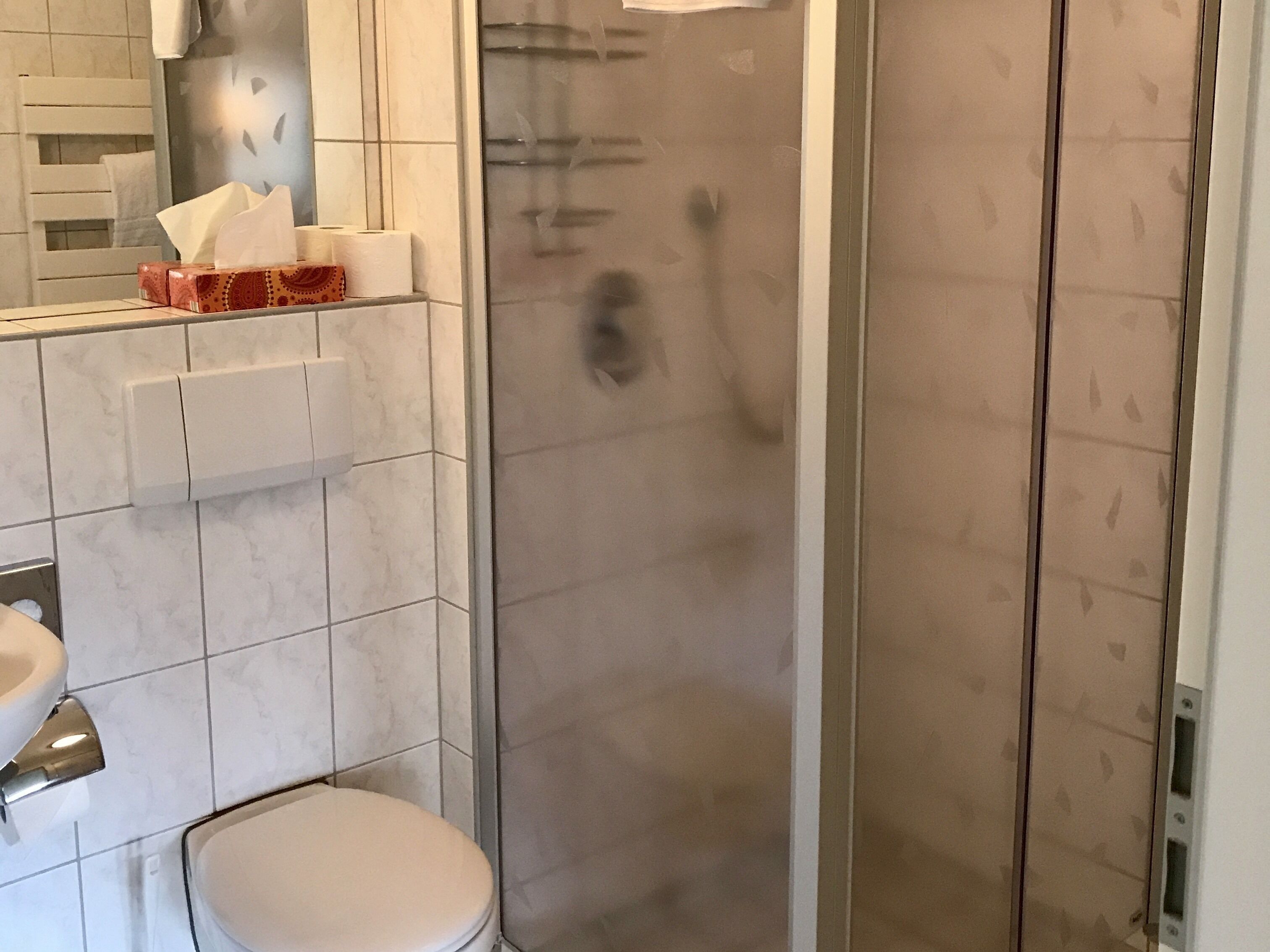 A bathroom with a toilet, a sink, and a glass-enclosed shower area.