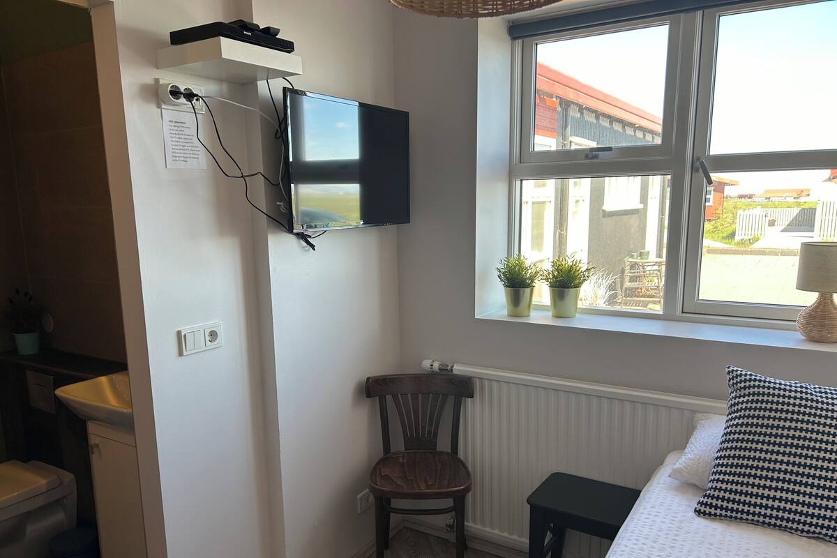 A bedroom with a bed, a chair, a TV mounted on the wall, a window with plants, and a radiator.