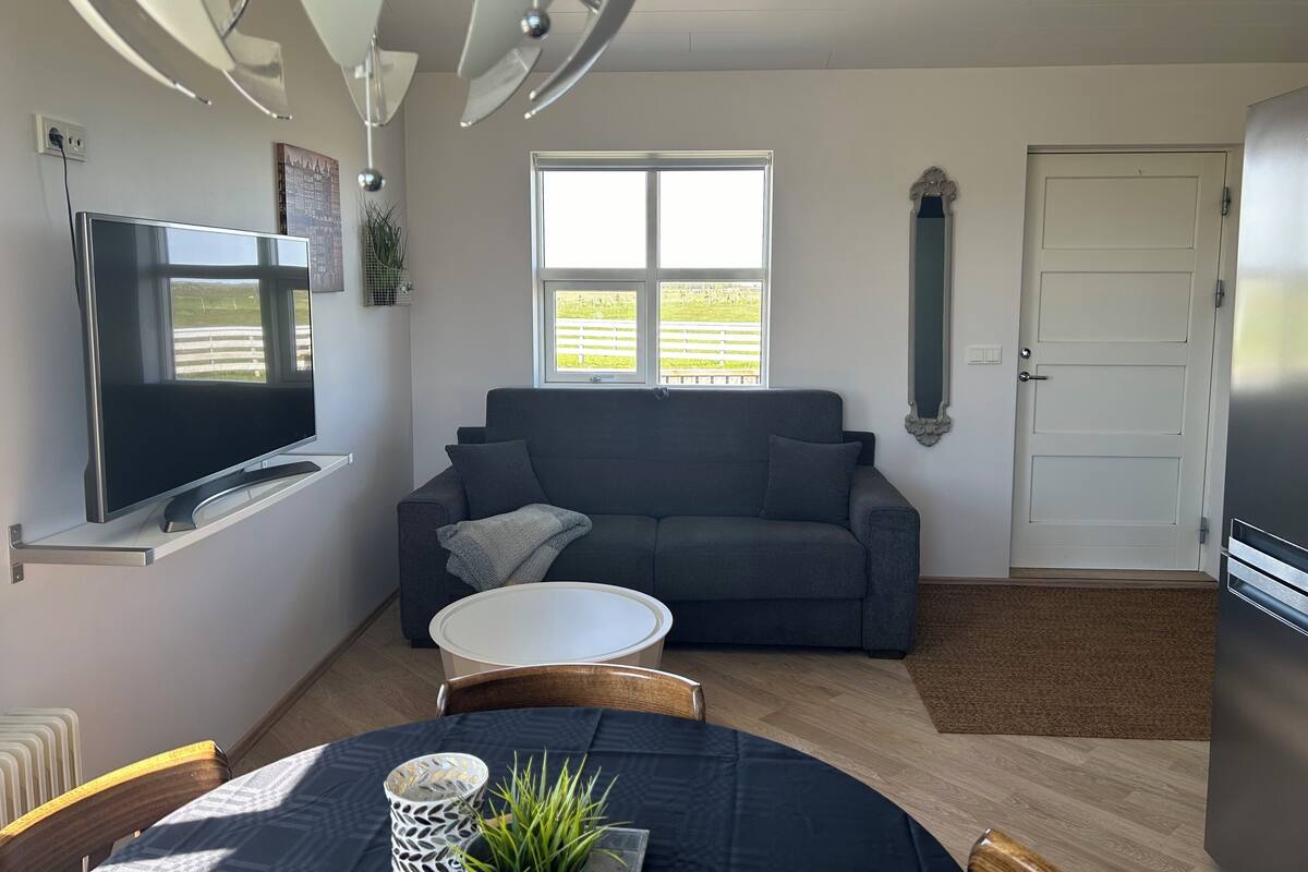 A modern living room with a flat-screen TV, grey sofa, white coffee table, and a small potted plant.