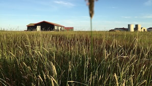 Paisaje rural con un granero y silos.