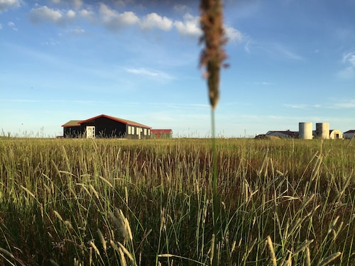 Lindartún Guesthouse