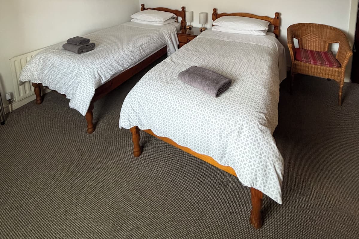 Una habitación con dos camas individuales, una silla de madera, un radiador y un cuadro en la pared.