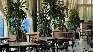 Un interior de restaurante moderno con techos altos, amplias ventanas con cortinas traslúcidas y varias mesas y sillas.