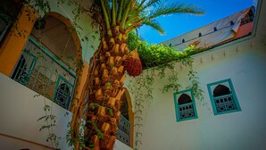 A courtyard with a palm tree, arched windows, and hanging plants. - Riad Dar Mamouni (Marrakech)