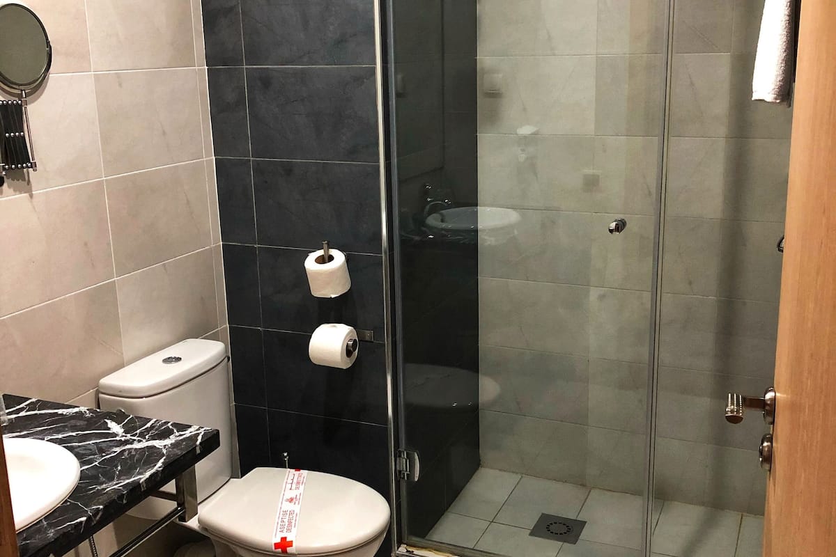 superior double or twin room | bathroom | shower, free toiletries, hair dryer, towels