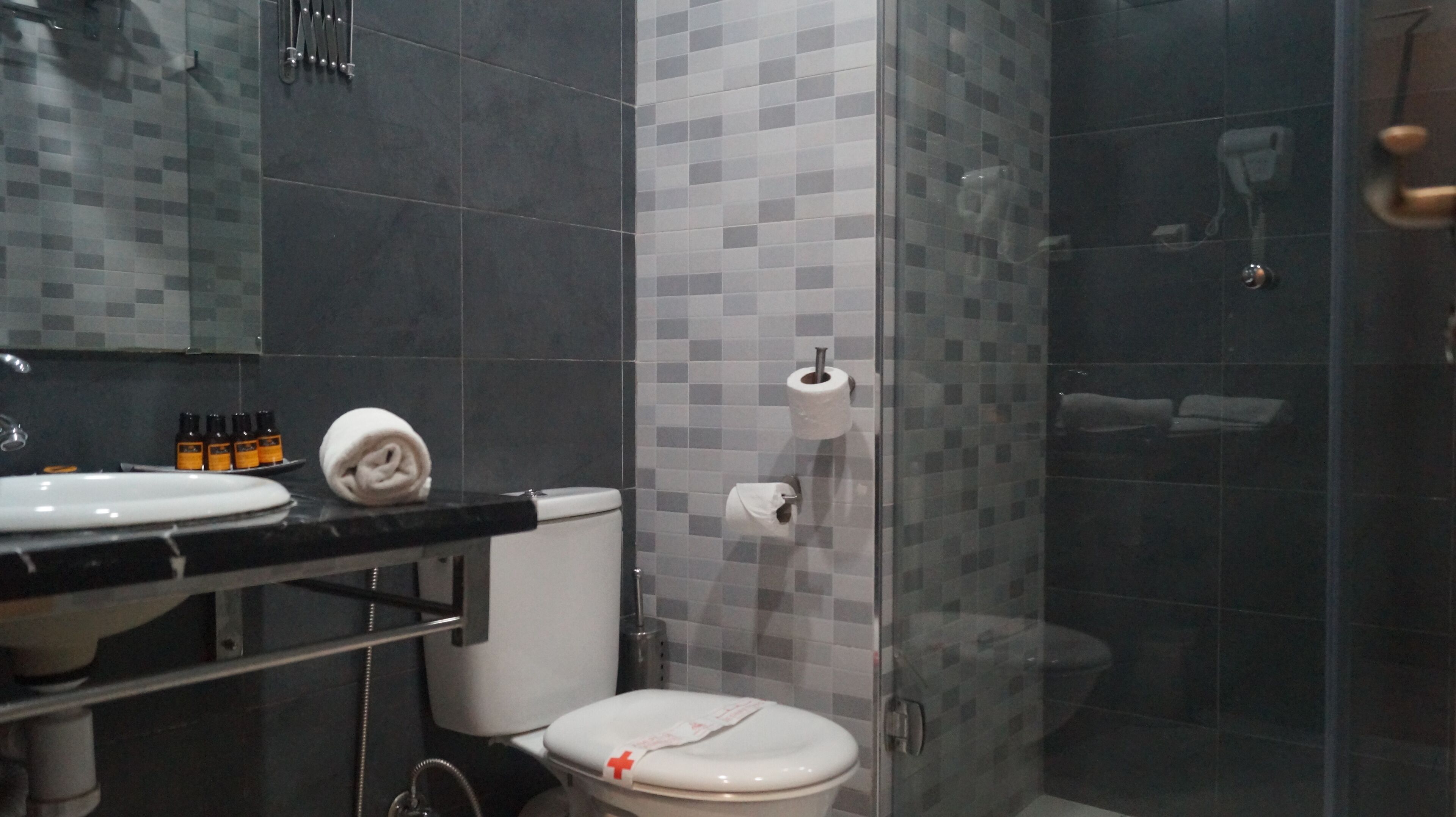 superior double or twin room | bathroom | shower, free toiletries, hair dryer, towels