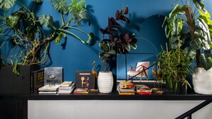 Una habitación con pared azul, estante negro con libros, objetos decorativos y diversas plantas en macetas.