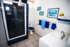 Shower, hair dryer, towels