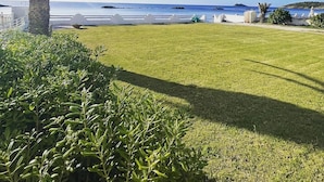 Ein gepflegter Rasen mit einer Palme, blauem Himmel und Blick aufs Meer.