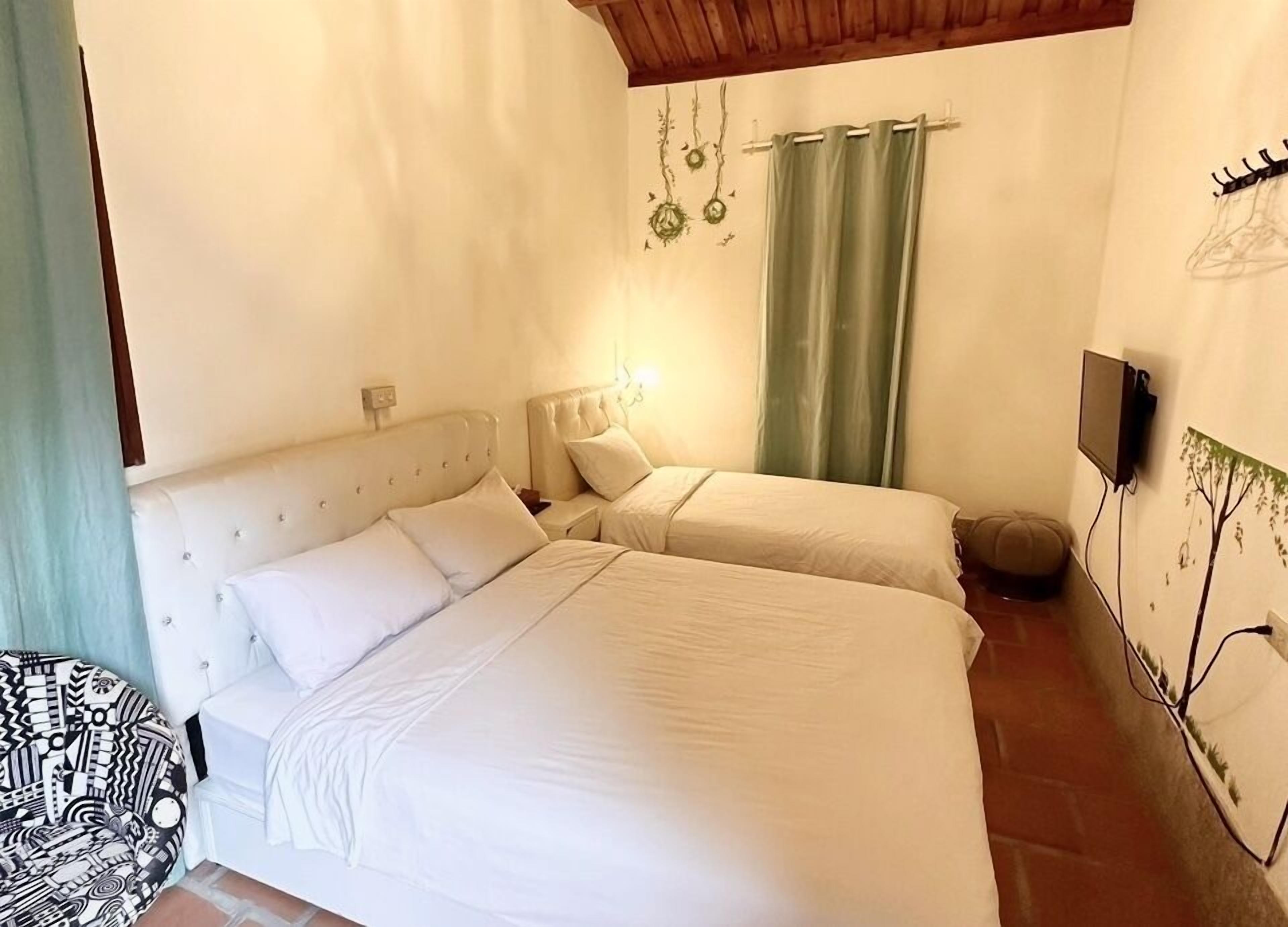 A room with two beds, a television, and a wall-mounted plant.