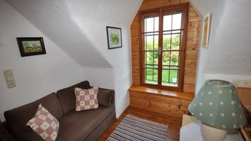 Televisión, reproductor de DVD, tenis de mesa y libros