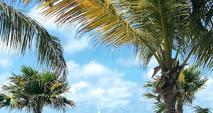 Spektakuläre Ocean Front 3 BR - Ruhige 2nd FL End-Unit mit Wrap-Around-Balkon.