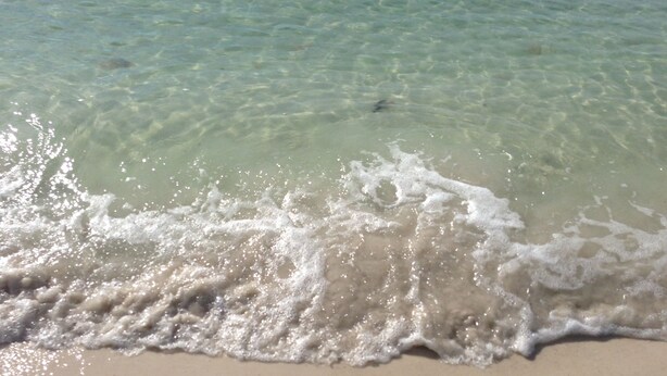 A beach with clear water and gentle waves.