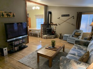 TV, fireplace, video games, DVD player