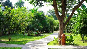 A concrete pathway in a lush garden with trees and a decorative red fire hydrant. - Bang Po Hut (Koh Samui)