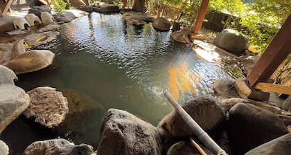 Kurasako Onsen Sakura