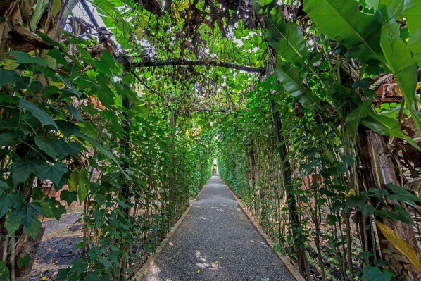 Property grounds - Battambang Dream Bungalows (Aek Phnum)