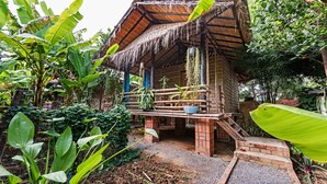 Una estructura de madera rústica con techo de paja, rodeada de abundante vegetación y plantas de plátano.