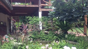 Un jardin luxuriant, avec une grande variété de plantes et un petit étang.
