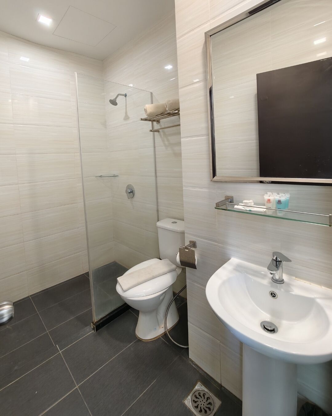 A modern bathroom with a glass-enclosed shower, a white toilet, a pedestal sink, and a mirror above the sink.