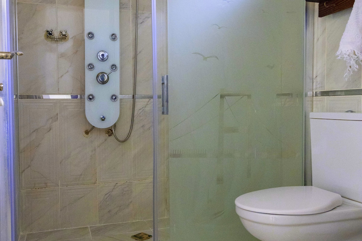 standard double or twin room | bathroom | shower, free toiletries, hair dryer, bathrobes