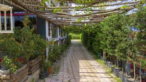 A covered garden pathway lined with potted plants and a wooden pergola overhead.