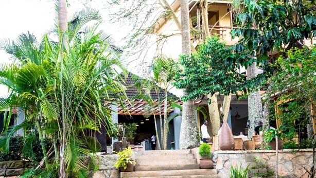 A tropical resort with a stone staircase leading to a covered entrance, lush greenery, and outdoor seating areas. - Meley Impala Hotel (Kampala)