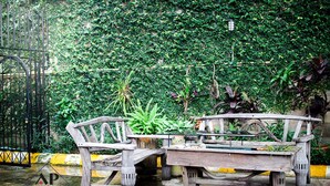 Khuôn viên nơi lưu trú