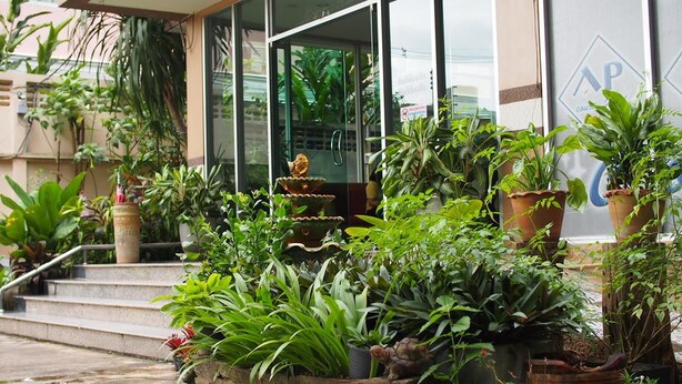 Khuôn viên nơi lưu trú