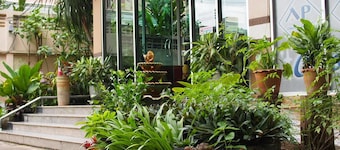 A.P. Court Hotel