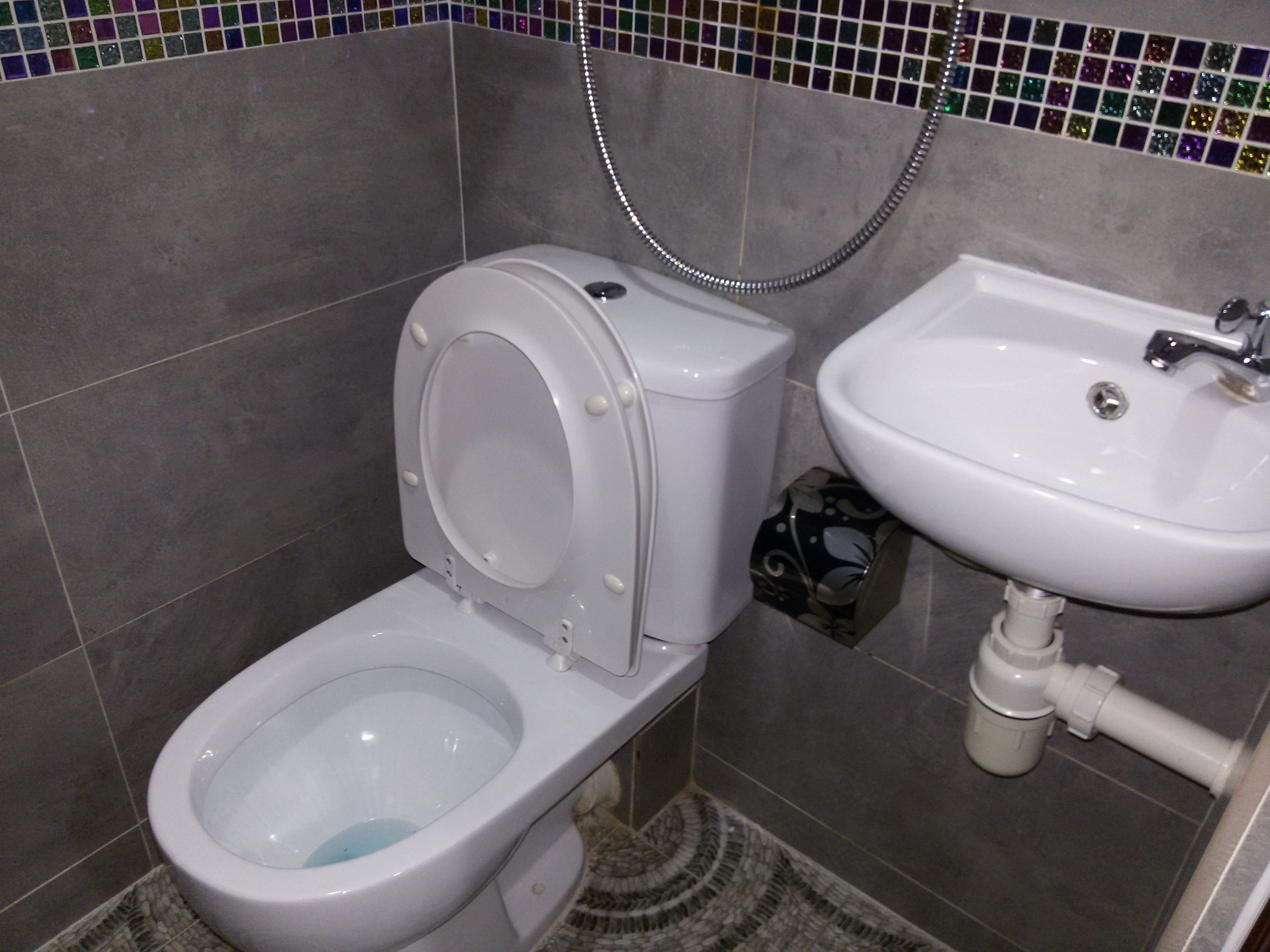 A bathroom with a toilet and a sink.