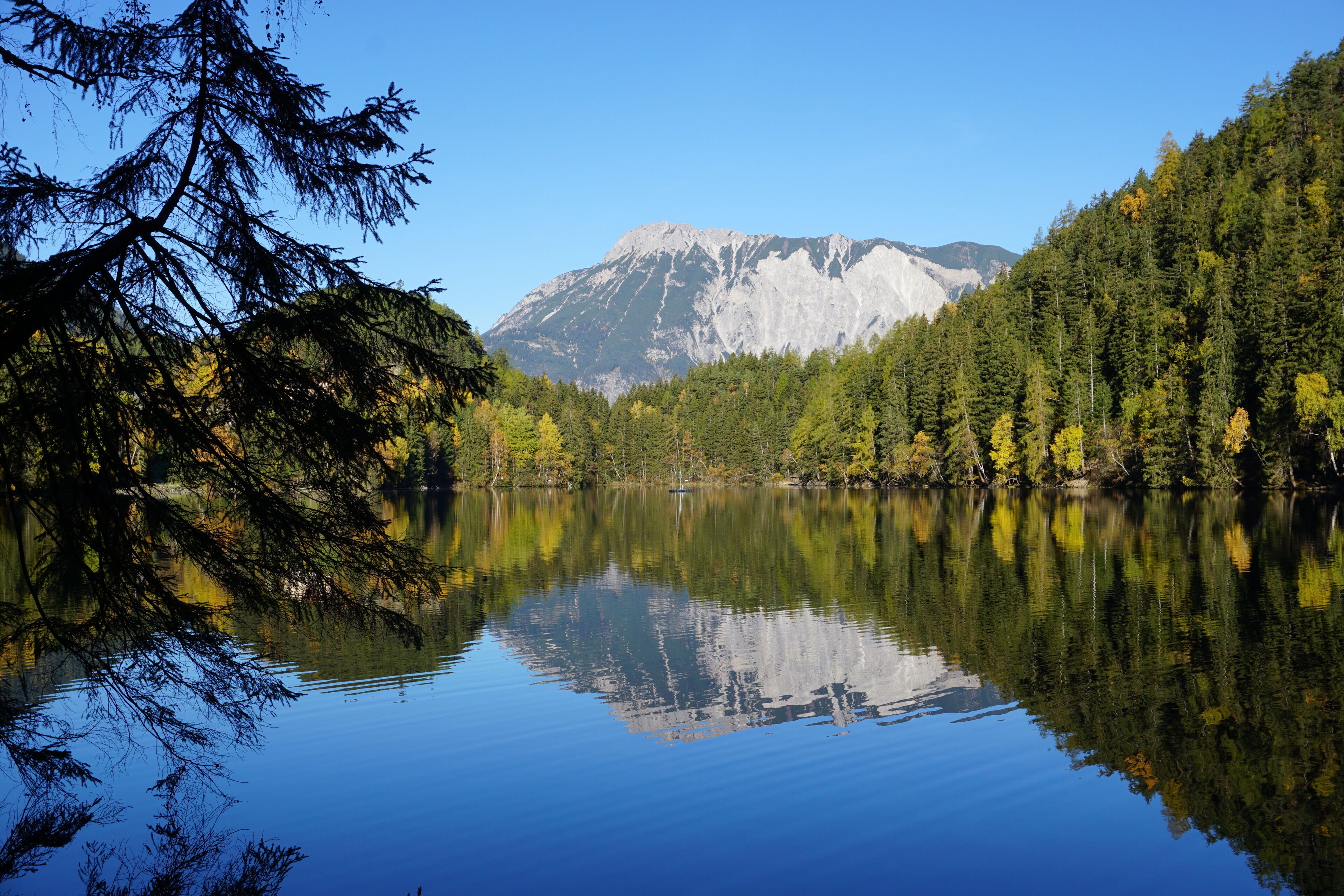 A tranquil lake with reflections of trees and a mountain in the background.