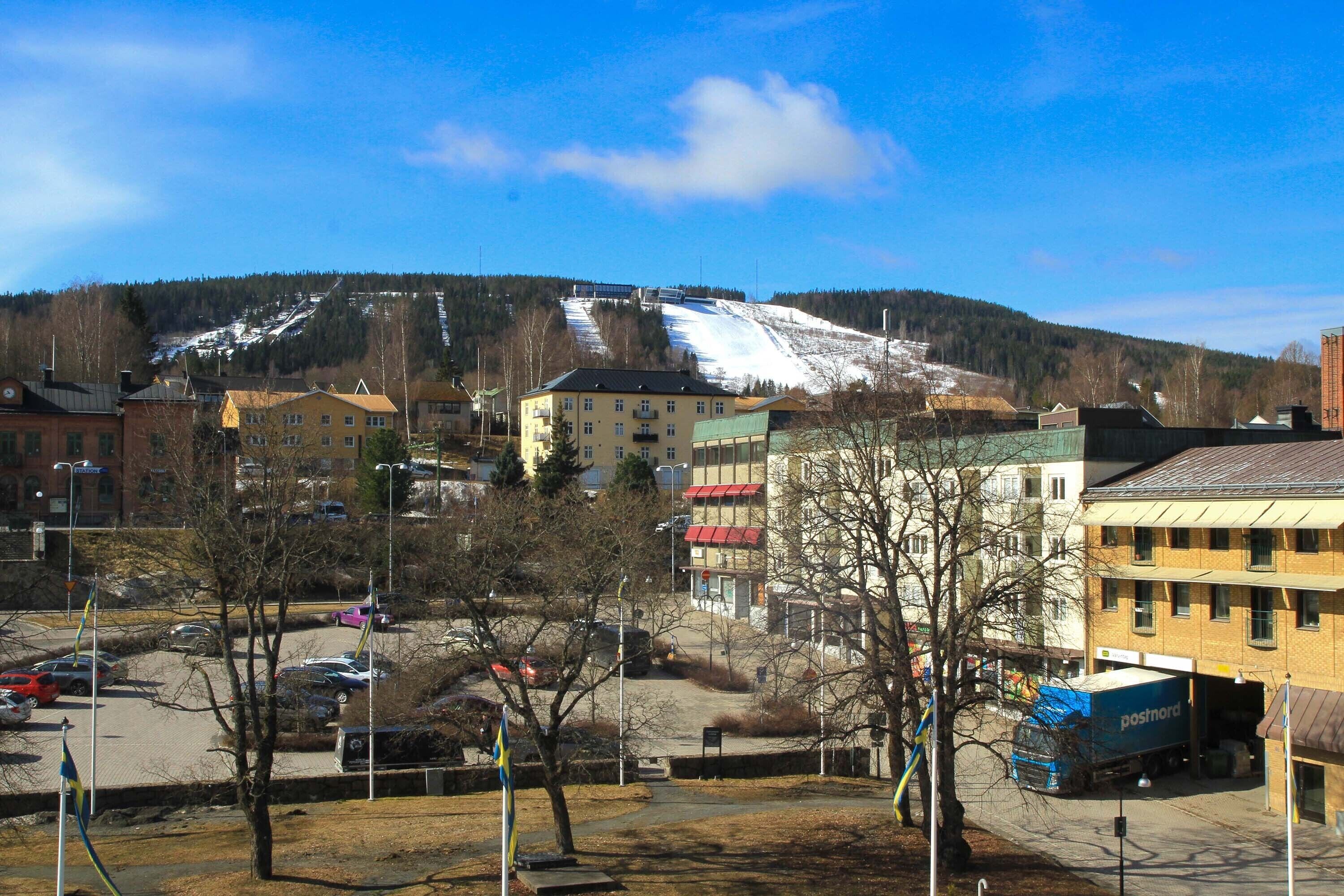 single room (with sofa bed) | in-room safe, desk, blackout curtains, iron/ironing board