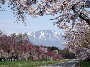 Property grounds - PENSION Sanrinsya (Shizukuishi)