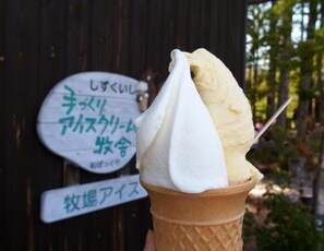 An ice cream cone with a scoop of vanilla ice cream and a scoop of chocolate ice cream, held by a person. - PENSION Sanrinsya (Shizukuishi)