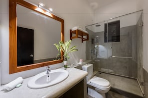 A modern bathroom with a large mirror, a sink, a toilet, and a glass-enclosed shower area. - Fern Colombo (Colombo)