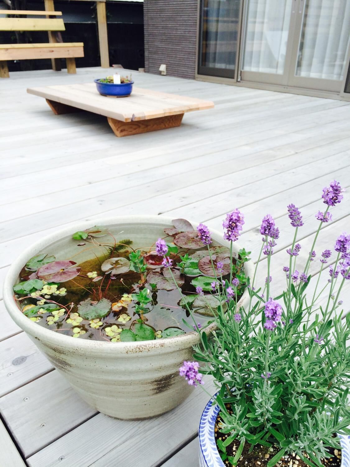 A large ceramic water feature with lily pads and purple flowers on a wooden deck.