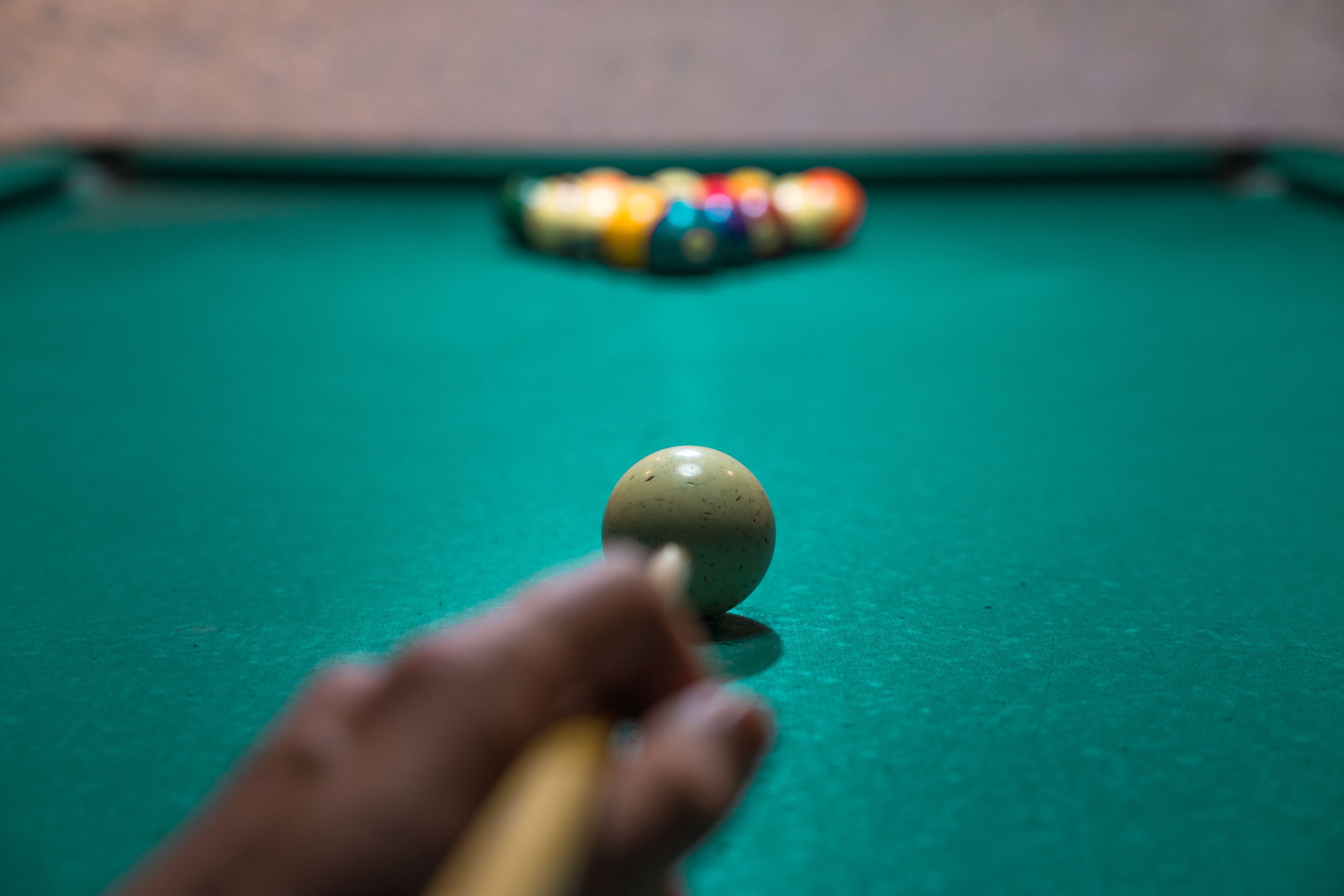 Photo - Casa das Proteas