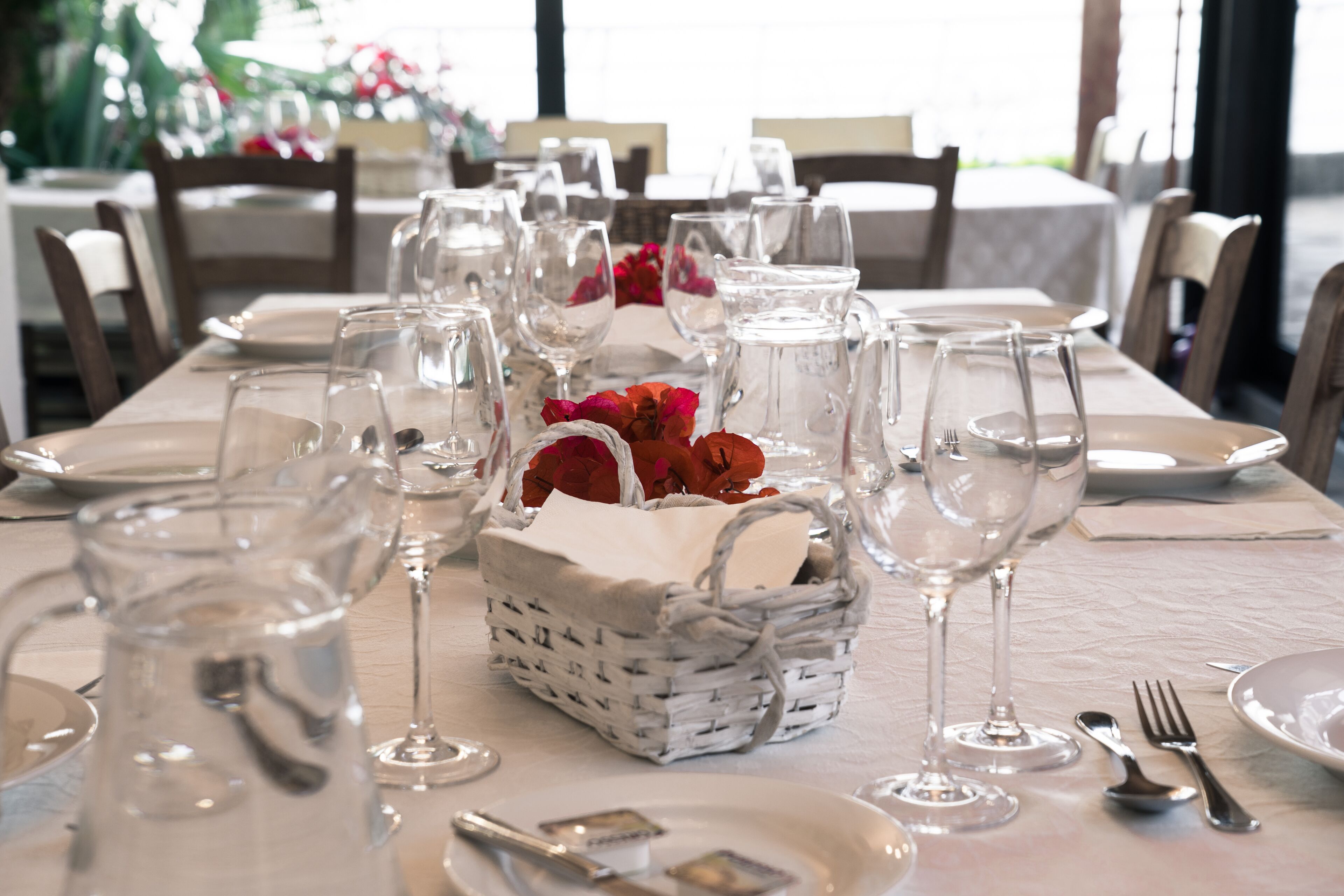 Photo - Casa das Proteas