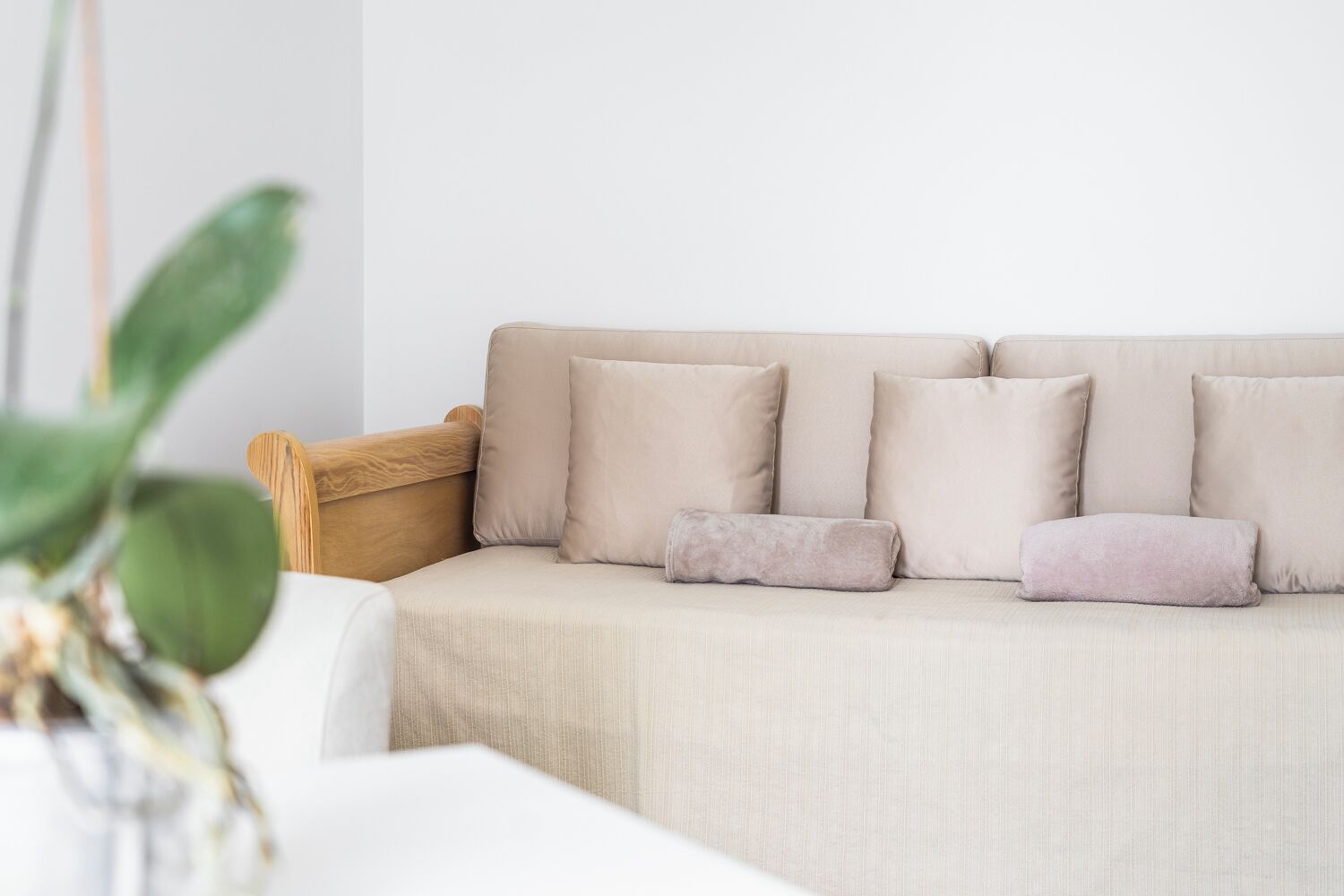 Photo - Casa das Proteas