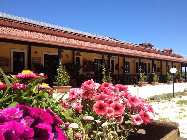 Guests can enjoy a covered outdoor seating area with tables and chairs amidst lush potted plants.